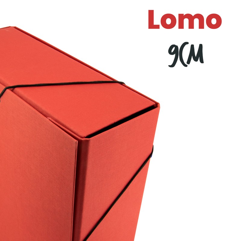 Quijote Paper World Project Folder – File Folder, Basic Colours,