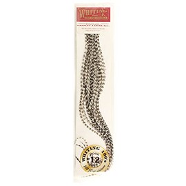 Whiting Farms 100's Saddle Hackle Pack (Grizzly, 12)