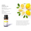 Citrus Essential Oil Set-Pack of 6,10ml, Pure Therapeutic Grade Fruity