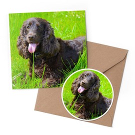 1 x Greeting Card & 10 cm Round Sticker Set - Irish Water Spaniel Dog Breed Puppy - Birthday Thank You Friend Lover Fan Mum Dad Kids #51234