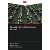 Pouvoirs d'amélioration du biochar