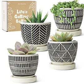 LE TAUCI Succulent Pots, 3.5 Inch Cement Plant Pot with Drainage Holes & Saucers, Beautiful Gifts for Valentine's Day and Arrive Beautifully Gift Boxed, Boho Style, Set of 4