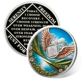 Wings of Freedom 8 Year Sobriety Coin, Soaring Heart NA Coin, Addiction Recovery Eight Year Sober Chip, Celebrating Recovery Anniversary Token, Narcotics Anonymous Sobriety Gifts for Men Women