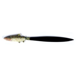 LX Hand Painted Lake Trout Fish Letter Opener