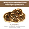 Om Turkey Tail Mushroom 667mg 75 capsules