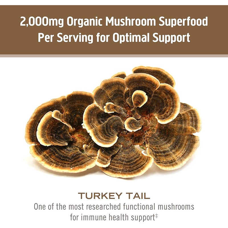 Om Turkey Tail Mushroom 667mg 75 capsules