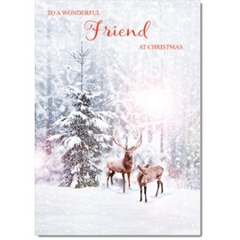 doodlecards Friend Christmas Card Deers in Forest Medium Size Christmas Card for Friend with Plain Envelope