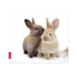 Speedlink Silk Mauspad Hasen (weiche Oberfläche, geringer Gleitwiderstand, gummierte Unterseite, verschiedene Motive)