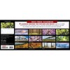 Trees 2023 Panoramic Wall Calendar