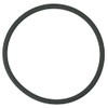 Pentair R172009Z Feeder O-Ring, White