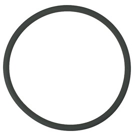 Pentair R172009Z Feeder O-Ring, White
