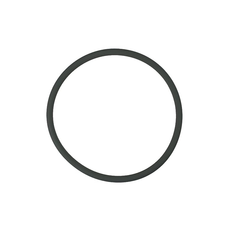 Pentair R172009Z Feeder O-Ring, White