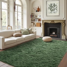 FinRèc Soft Green Rugs for Bedroom Living Room, 4x6 Feet Modern Indoor Fuzzy Shaggy Area Rug, Non-Slip Fluffy Furry Rug for Nursery Kids Room Dorm Room Home Decor, High Pile Plush Floor Carpet
