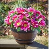 Southern Patio 13″ Woodford Barrel Planter 5-Pack, Darkened Oak
