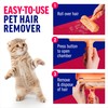 ChomChom Roller Limited Edition Cat