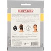 Burts Bees Detoxifying charcoal sheet mask