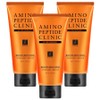 Elastin Aminopeptide Intensive Care Treatment for Severely Damaged Skin, 300ml, 3 Pieces / 엘라스틴 아미노펩타이드 극손상 집중케어 트리트먼트, 300ml, 3개