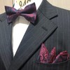 Bordeaux Paisley (Bow Tie & Pocket Square) 2-Piece Set, Men's,