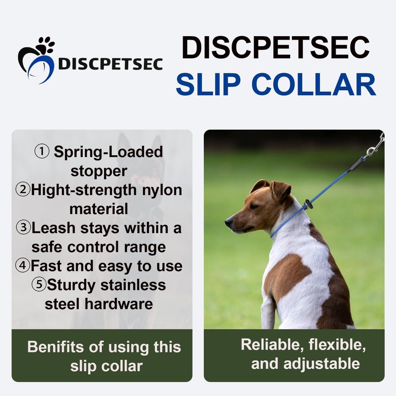 Slip Collar for Small & Medium Dogs, 1/4" Nylon Rope
