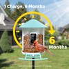 NETVUE NETVUE by Birdfy Smart Bird Feeder with Camera, Bird