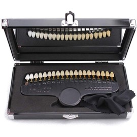 BIMU Teeth Model Teeth Shade Guide for Whitening Teeth, Color Swatches, Teeth Model 20 Colors, Storage Case Included
