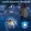 PetIsay Light up Dog Collar - High Visibility & Durable