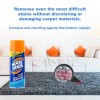Spot Shot Instant Carpet Stain Remover 14oz Pack of 2