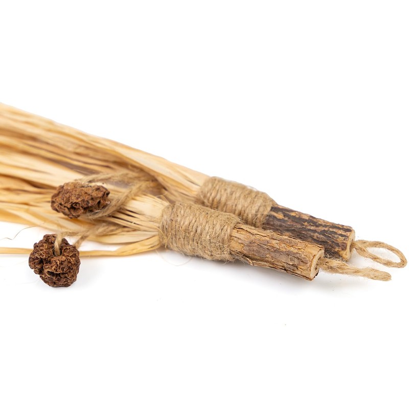 CanadianCat Company Cat Toy Matatabi Sticks with Raffia (Pack of