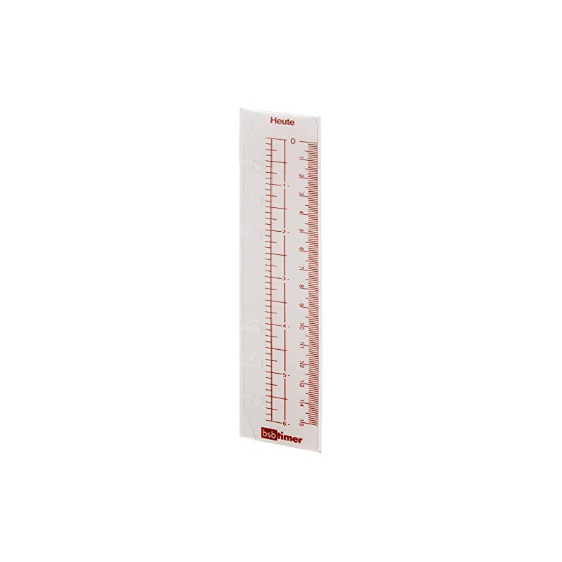 BSB 02-0487 Day Indicator Ruler A6 6-Hole Punched for Compact