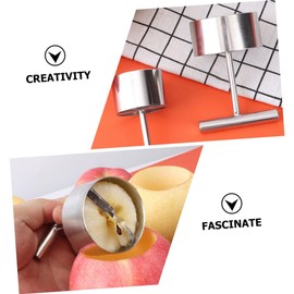 GRIRIW Metal Fruit Corers Set of 4 Apple Core Extractor Pear Core Remover Easy to Clean Perfect for Kitchen