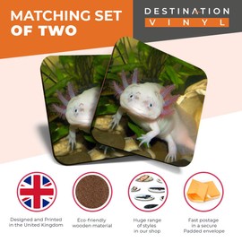 Great Coasters (Set of 2) Square/Glossy Quality Coasters/Tabletop Protection for Any Table Type - Axolotl Aquarium Dragon Fish #3066