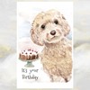 Cockapoo Dog Birthday Card, Cockapoo Dog Greetings Card, Cockapoo Dog.