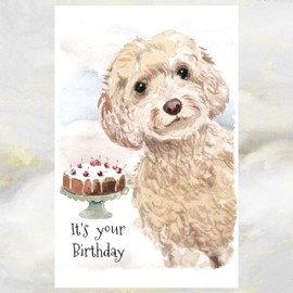 Cockapoo Dog Birthday Card, Cockapoo Dog Greetings Card, Cockapoo Dog.
