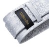 DiBanGu Mens Paisley Tie Formal Silk Tie & Pocket Square