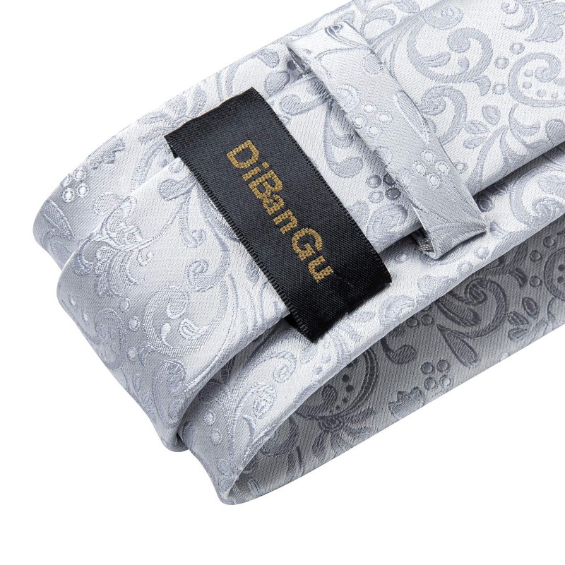 DiBanGu Mens Paisley Tie Formal Silk Tie & Pocket Square