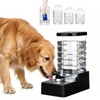 RIZZARI 10L Gravity Dog Water Bowl Dispenser: Wide Mouth Filter-Free