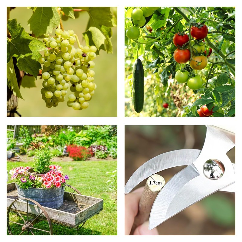 Garden Secateurs Pruning Scissors Bypass Pruners Hedge Shears with Safety