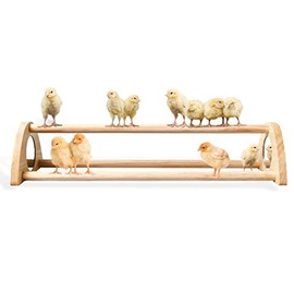 TonGass 16" Extra Long Chicken Perch - Freestanding Roosting Bar for Baby Chicks with Built-in Mirrors for Entertainment - Durable Polished Bamboo Roosting Bar - 15 3/4 x 6 5/8 x 3 1/2"