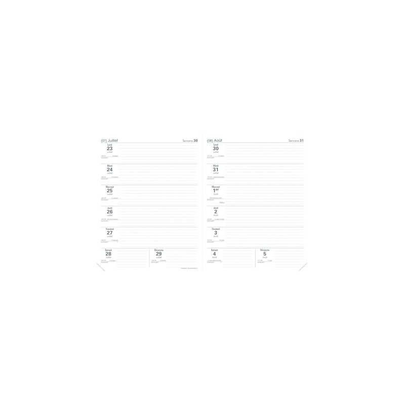 Quo Vadis Club Professor School 2 Week on 2 Pages