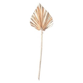 Vickerman 720028-15.75-19.5" Metll Gold Palm Spear 12/bag (H7PAS250) Dried and Preserved Palms