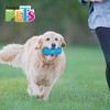Fancy Pets Juguete Pesa Flexible para Perro con Sonido Tamaño