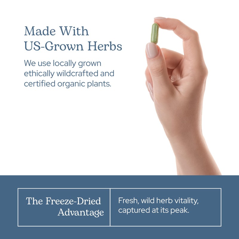 Eclectic Herb - Bilberry Capsules | Vision Health, Cardiovascular Support