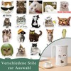 Canollo Lustiges Katzensticker Set, 50 Stück Süße Katzen Sticker, Wasserdicht