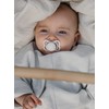 BIBS Supreme Pacifier Pack of 2, BPA Free, Symmetrical Nipple.