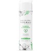 Shampoo Detox Profesional Anticaspa Natural con Menta Hombre y Mujer
