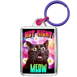 Pixly® Not Right Meow Keyring Key Fob Keychain Keepsake Cat Funny Gift for Him Her