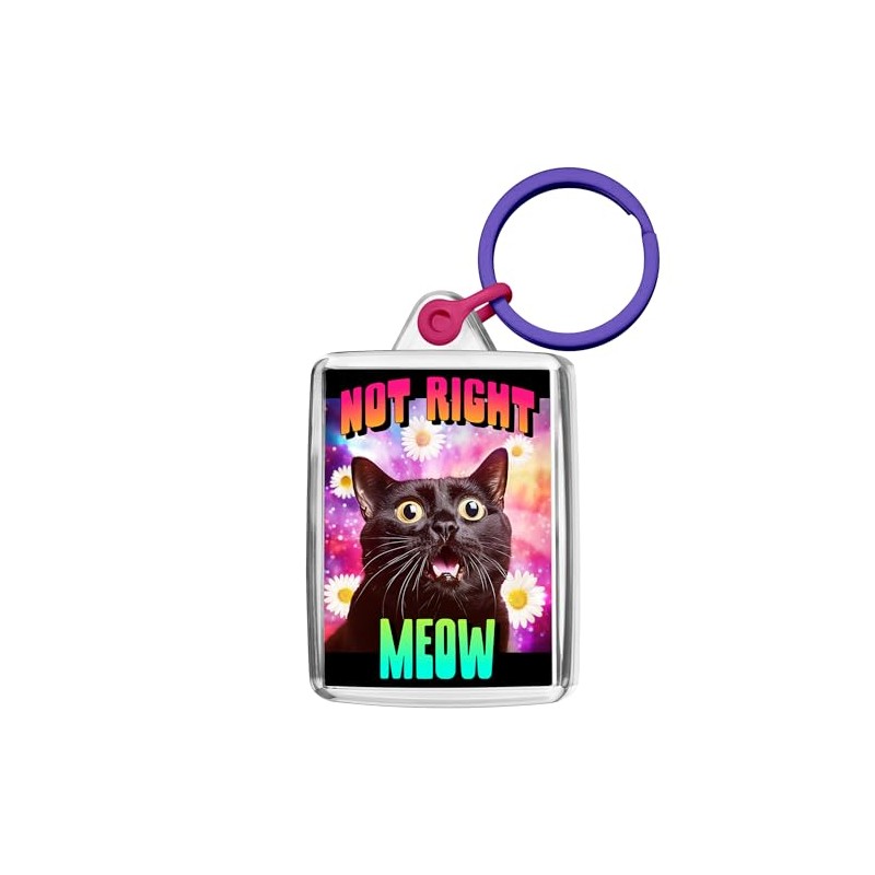 Pixly® Not Right Meow Keyring Key Fob Keychain Keepsake Cat