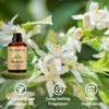 Wuvezrub Wuvezrub Neroli Essential Oils 120ML, Pure Neroli Essential Oil