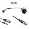 GeneX Mini XLR 3 Pin Female to XLR 3 Pin