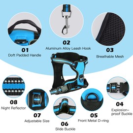 SIBOTER Dog Harness with Dog Lead, Reflective Dog Harness for Large Dogs, with Easy Control Handle and Back, Perfect for Outdoor Walks (L, Blue)